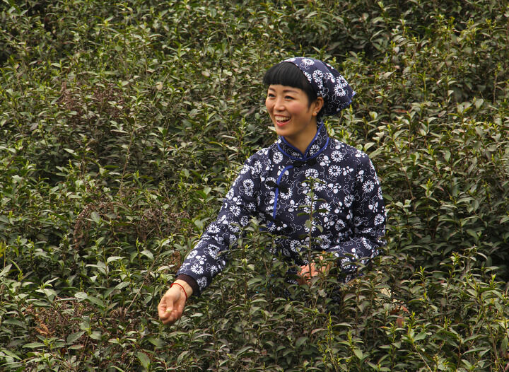 排行3